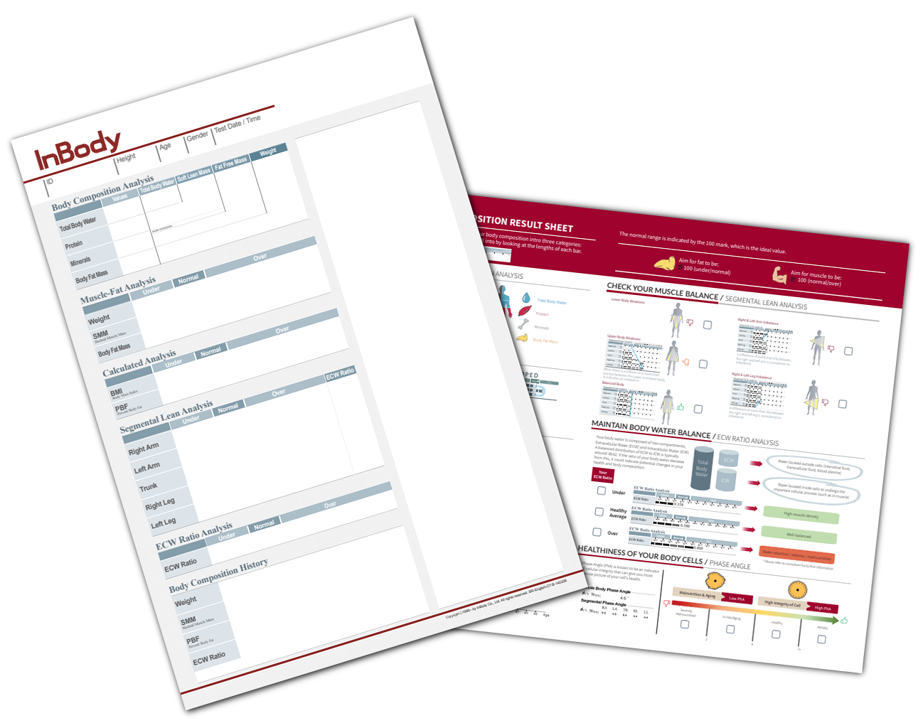 InBody Result Sheets